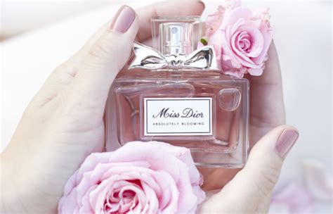 Wat is het verschil tussen de Miss Dior